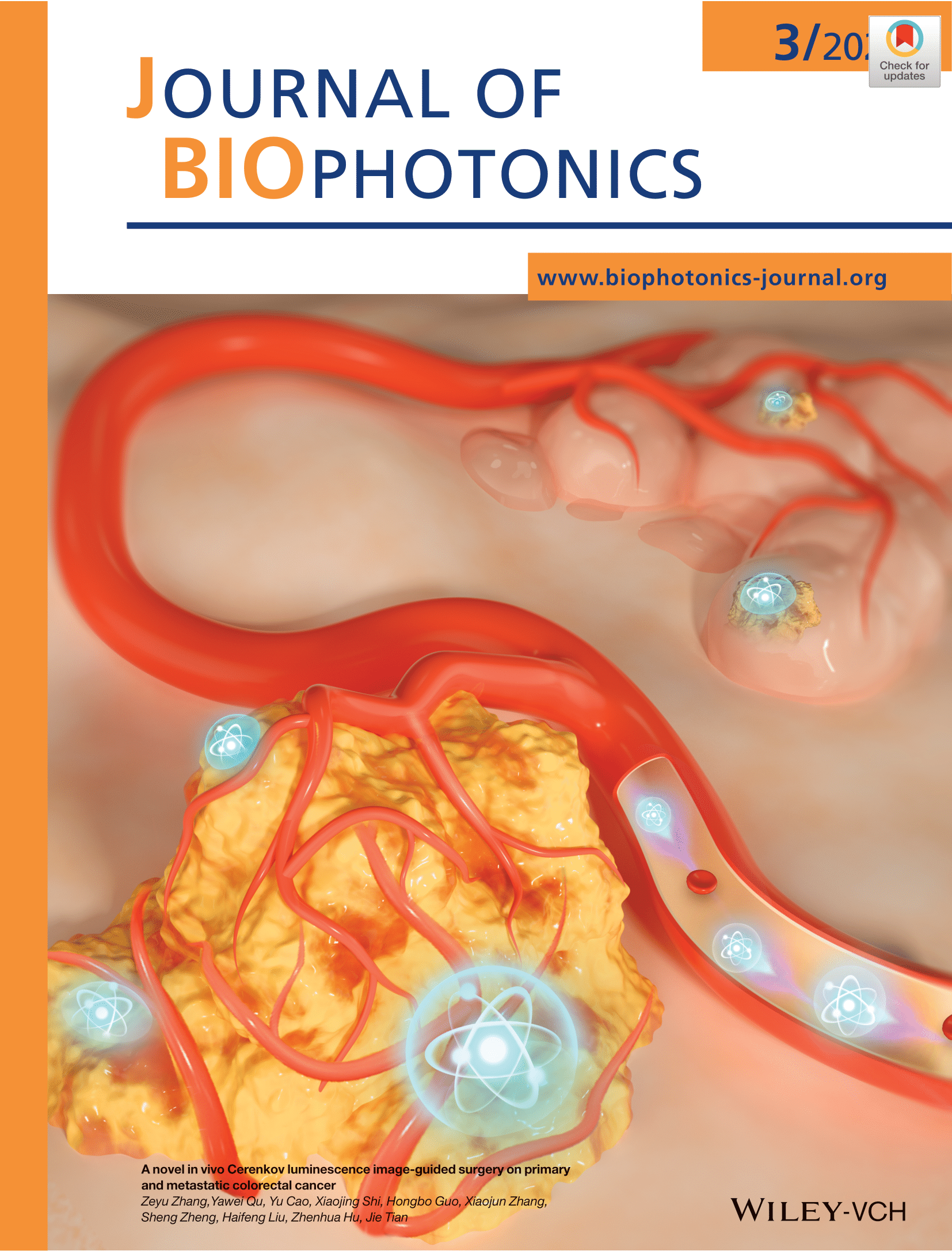 A novel in vivo Cerenkov luminescence image‐guided surgery on primary and metastatic colorectal cancer